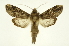  ( - INB0003352261)  @11 [ ] Copyright (2012) Juan Mata Lorenzen Unspecified