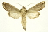  ( - INB0003352261)  @11 [ ] Copyright (2012) Juan Mata Lorenzen Unspecified