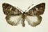  ( - INB0003352881)  @11 [ ] Copyright (2012) Juan Mata Lorenzen Unspecified