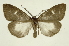  ( - INB0003352881)  @11 [ ] Copyright (2012) Juan Mata Lorenzen Unspecified