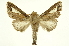  ( - INB0003355813)  @11 [ ] Copyright (2012) Juan Mata Lorenzen Unspecified