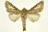  ( - INB0003355813)  @11 [ ] Copyright (2012) Juan Mata Lorenzen Unspecified