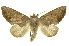  ( - INB0003374918)  @14 [ ] Copyright (2012) Juan Mata Lorenzen INBio
