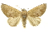  ( - INB0003374920)  @14 [ ] Copyright (2012) Juan Mata Lorenzen Unspecified
