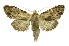  ( - INB0003374924)  @11 [ ] Copyright (2012) Juan Mata Lorenzen Unspecified
