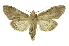  ( - INB0003374924)  @11 [ ] Copyright (2012) Juan Mata Lorenzen Unspecified