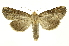  ( - INB0003374925)  @13 [ ] Copyright (2012) Juan Mata Lorenzen Unspecified