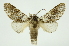  ( - INB0003375016)  @13 [ ] Copyright (2012) Juan Mata Lorenzen Unspecified