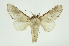  ( - INB0003375016)  @13 [ ] Copyright (2012) Juan Mata Lorenzen Unspecified