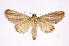  ( - INB0003375067)  @11 [ ] Copyright (2012) I. Chacon Instituto Nacional de Biodiversidad
