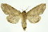  ( - INB0003375635)  @14 [ ] Copyright (2012) Juan Mata Lorenzen Unspecified