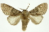  ( - INB0003375668)  @12 [ ] Copyright (2012) Juan Mata Lorenzen Unspecified