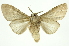  ( - INB0003375668)  @13 [ ] Copyright (2012) Juan Mata Lorenzen Unspecified