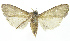  ( - INB0003386053)  @13 [ ] CreativeCommons - Attribution Non-Commercial Share-Alike (2012) National Biodiversity Institute of Costa Rica National Biodiversity Institute of Costa Rica