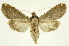  ( - INB0003386416)  @11 [ ] Copyright (2012) Juan Mata Lorenzen Unspecified