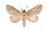  ( - INB0003387387)  @11 [ ] Copyright (2012) I. Chacon Instituto Nacional de Biodiversidad