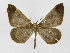 ( - INB0003387423)  @11 [ ] Copyright (2012) J. Montero Instituto Nacional de Biodiversidad