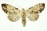  ( - INB0003387647)  @11 [ ] Copyright (2012) Juan Mata Lorenzen Unspecified