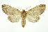  ( - INB0003387647)  @11 [ ] Copyright (2012) Juan Mata Lorenzen Unspecified