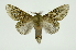 ( - INB0003388665)  @12 [ ] Copyright (2012) Juan Mata Lorenzen Unspecified