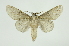  ( - INB0003388665)  @12 [ ] Copyright (2012) Juan Mata Lorenzen Unspecified