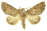  ( - INB0003388666)  @11 [ ] Copyright (2012) Juan Mata Lorenzen INBio