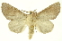 ( - INB0003388666)  @11 [ ] Copyright (2012) Juan Mata Lorenzen INBio