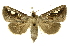  ( - INB0003388672)  @11 [ ] Copyright (2012) Juan Mata Lorenzen Unspecified