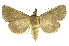  ( - INB0003388672)  @11 [ ] Copyright (2012) Juan Mata Lorenzen Unspecified
