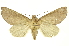  ( - INB0003388782)  @11 [ ] Copyright (2012) Juan Mata Lorenzen INBio