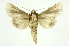 ( - INB0003400797)  @13 [ ] Copyright (2012) Juan Mata Lorenzen Unspecified