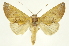  ( - INB0003400801)  @15 [ ] Copyright (2012) J. Montero INBio