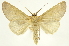  ( - INB0003400801)  @14 [ ] Copyright (2012) J. Montero INBio