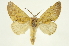  ( - INB0003400802)  @11 [ ] Copyright (2012) J. Montero INBio