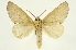  ( - INB0003400802)  @11 [ ] Copyright (2012) J. Montero INBio
