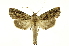  ( - INB0003400987)  @11 [ ] Copyright (2012) Juan Mata Lorenzen Unspecified