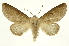  ( - INB0003401285)  @11 [ ] Copyright (2012) J. Montero INBio