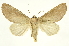  ( - INB0003401285)  @11 [ ] Copyright (2012) J. Montero INBio