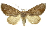  ( - INB0003401485)  @11 [ ] Copyright (2012) Juan Mata Lorenzen INBio