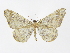 ( - INB0003401856)  @11 [ ] Copyright (2012) J. Montero Instituto Nacional de Biodiversidad