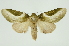  ( - INB0003401875)  @14 [ ] Copyright (2012) Juan Mata Lorenzen Unspecified