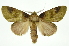  ( - INB0003403187)  @11 [ ] Copyright (2012) Juan Mata Lorenzen Unspecified