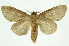  ( - INB0003403187)  @11 [ ] Copyright (2012) Juan Mata Lorenzen Unspecified