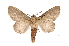  ( - INB0003403273)  @11 [ ] Copyright (2012) I. Chacon Instituto Nacional de Biodiversidad
