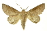 ( - INB0003416453)  @11 [ ] Copyright (2012) Juan Mata Lorenzen INBio