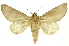  ( - INB0003416453)  @11 [ ] Copyright (2012) Juan Mata Lorenzen INBio