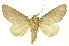  ( - INB0003416460)  @14 [ ] Copyright (2012) Juan Mata Lorenzen INBio