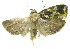  ( - INB0003416899)  @11 [ ] CreativeCommons - Attribution Non-Commercial Share-Alike (2012) National Biodiversity Institute of Costa Rica National Biodiversity Institute of Costa Rica