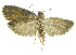  ( - INB0003416899)  @11 [ ] CreativeCommons - Attribution Non-Commercial Share-Alike (2012) National Biodiversity Institute of Costa Rica National Biodiversity Institute of Costa Rica