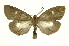  ( - INB0003416965)  @11 [ ] Copyright (2012) Juan Mata Lorenzen Unspecified
